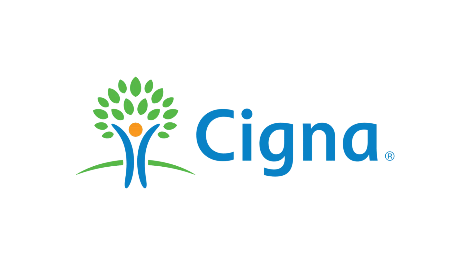 Cigna Software Engineer Interview Questions + Guide in 2024